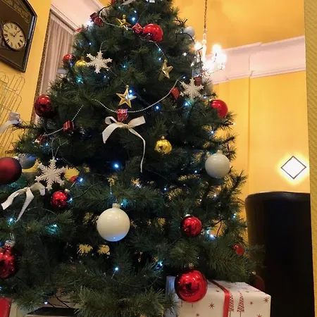 Berlioz Euroairport Basel - Mulhouse - Freiburg